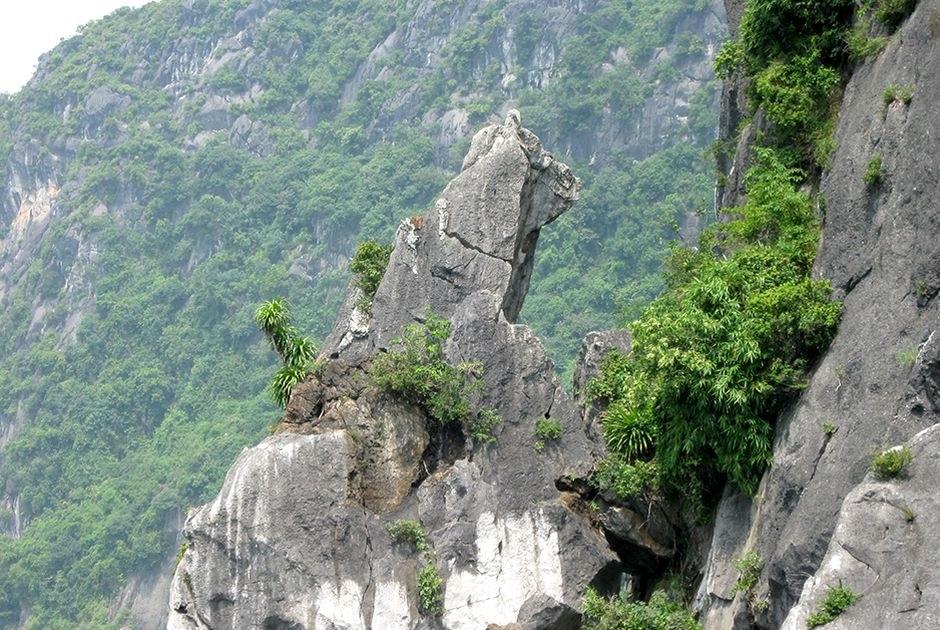 Hòn Chó Đá