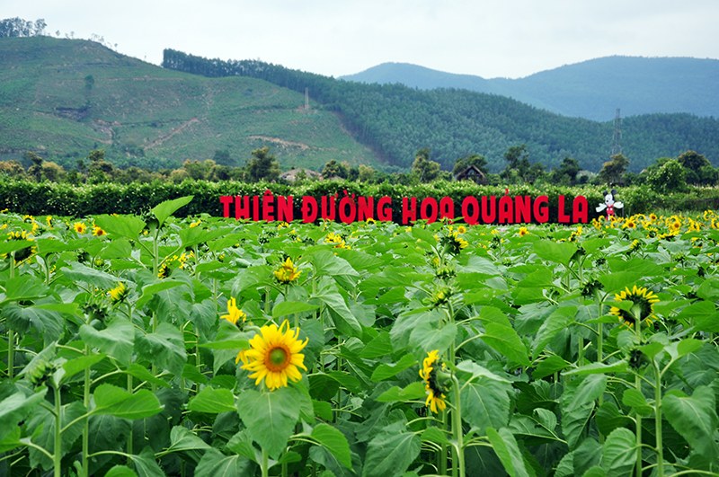 Ảnh: Báo Quảng Ninh