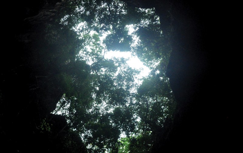 Cửa động. Ảnh: Báo Quảng Ninh.
