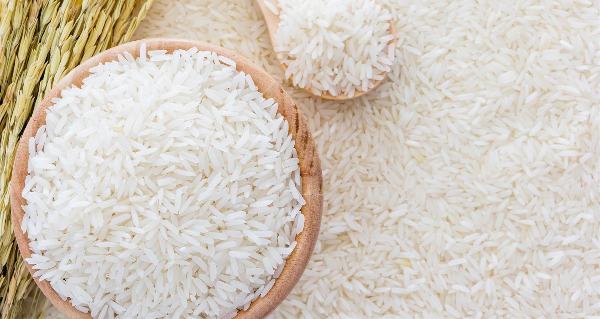 Ảnh minh họa: nongsanlangson.