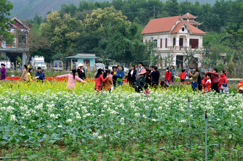 Ảnh: Báo Quảng Ninh