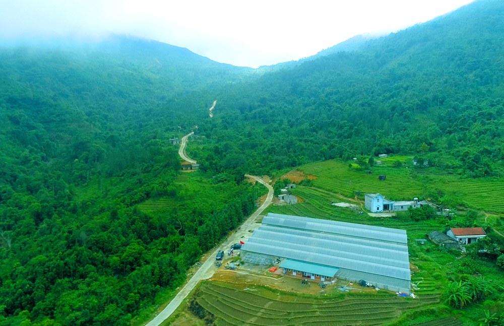 Vườn hoa giữa núi rừng. Ảnh: Báo Quảng Ninh