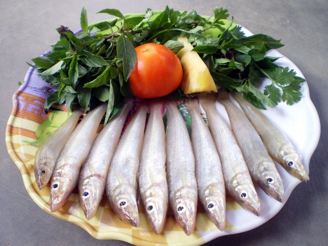 Cá đục. Ảnh: Báo Thanh niên.
