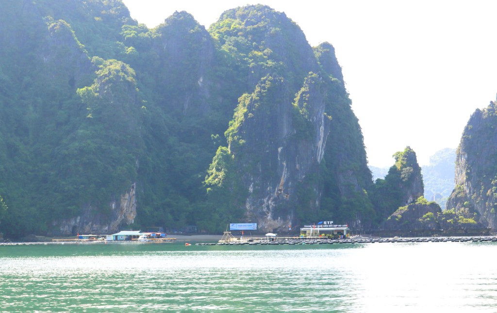 Đảo Phất Cờ. Ảnh: Báo Quảng Ninh