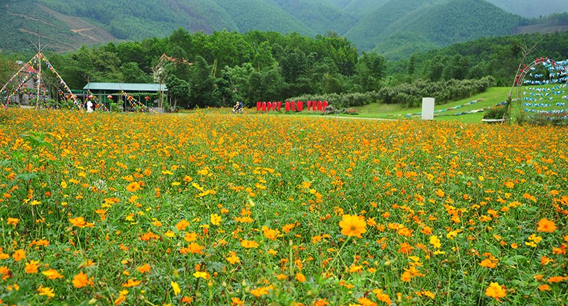 Rực rỡ sắc màu. Ảnh: Báo Quảng Ninh