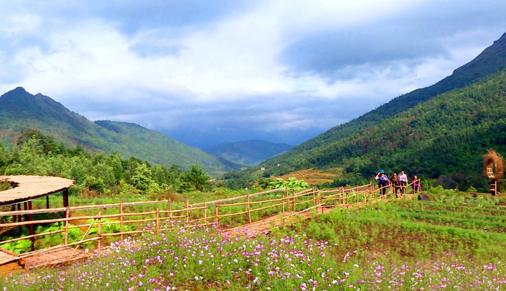 Những khóm hoa khoe sắc. Ảnh: Báo Quảng Ninh